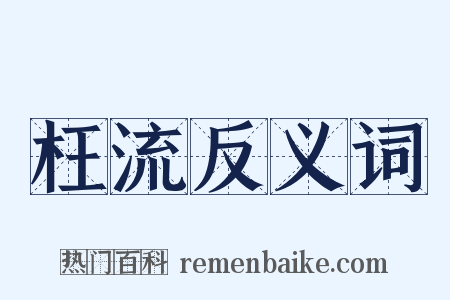 枉流反义词是什么意思的图片